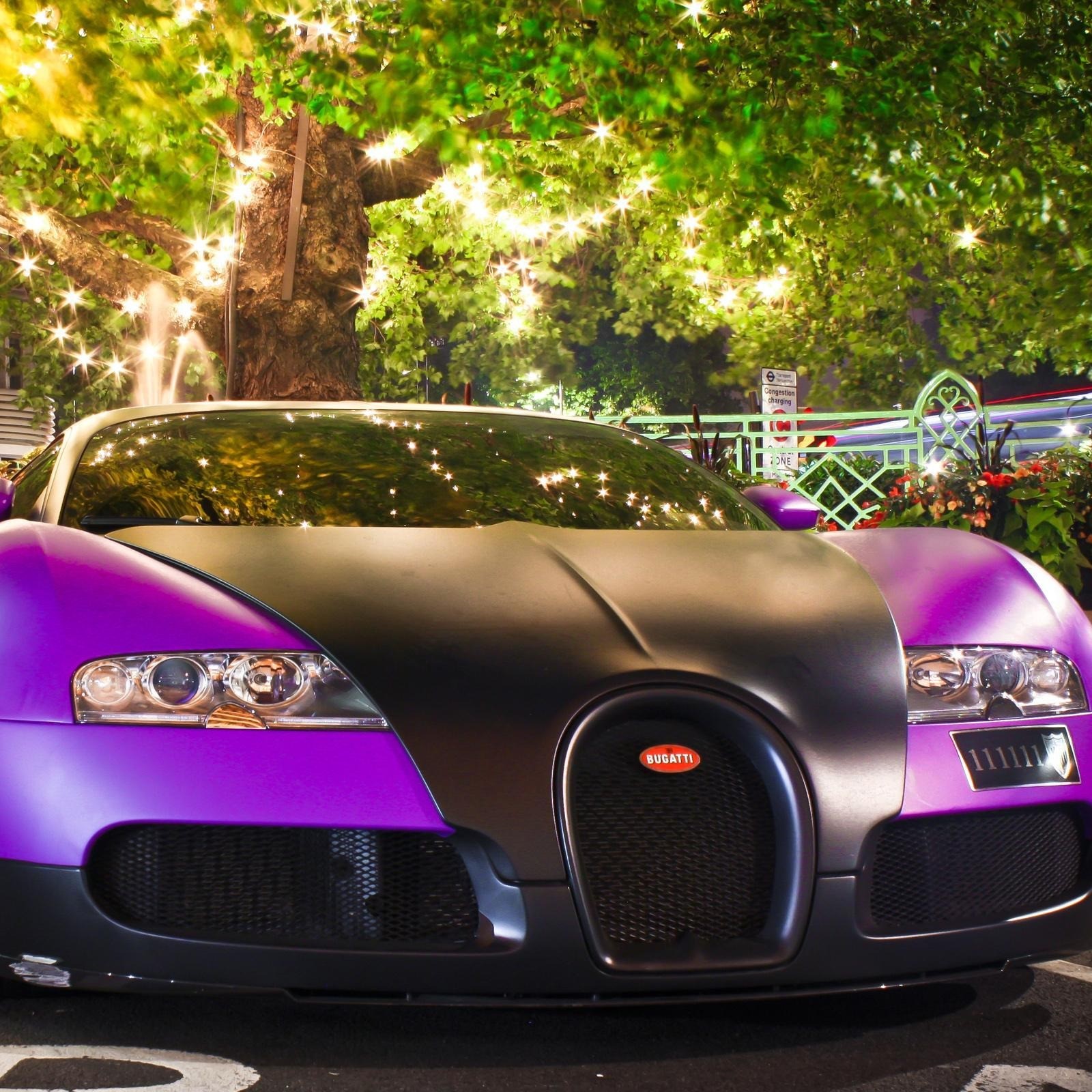 Light Purple Car